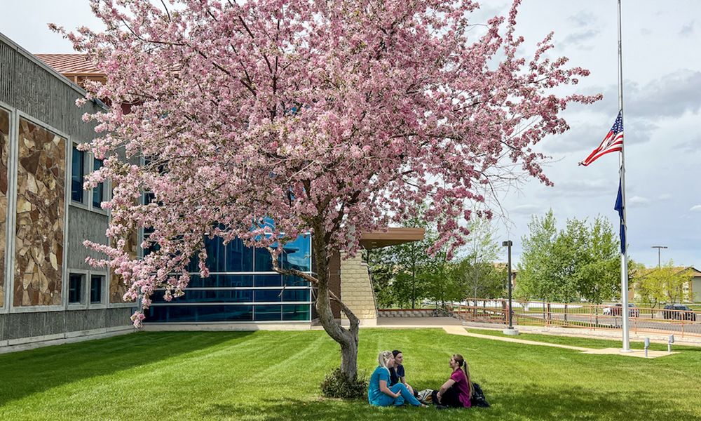 Students studying under an apple tree with blossoms