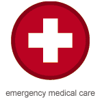 Medical Emergency Icon