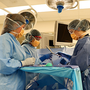 Great Falls College MSU and City College partner to offer Surgical Technology in Billings