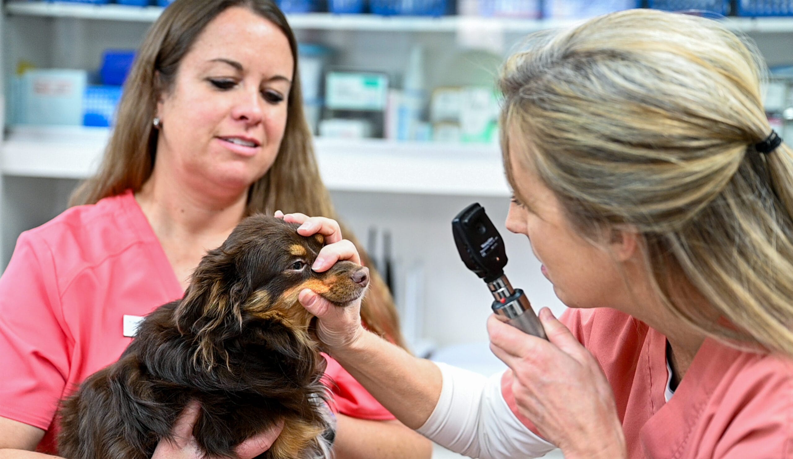 Skyline Veterinary Clinic. Veterinarian Mikell Bodner, right Licensed Vet Tech Billie Manning, left